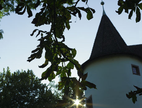 Hotel Castle Garden Binningen Exterior foto